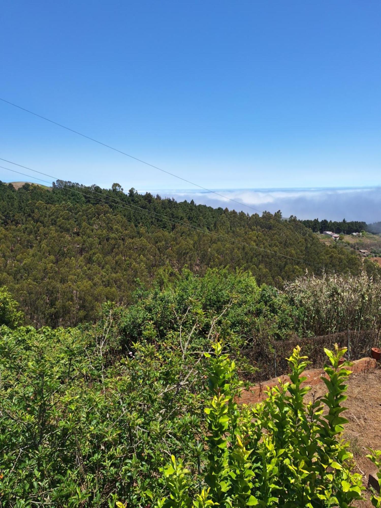 Finca Esther Las Palmas de Gran Canaria Luaran gambar